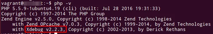php -v vagrant output