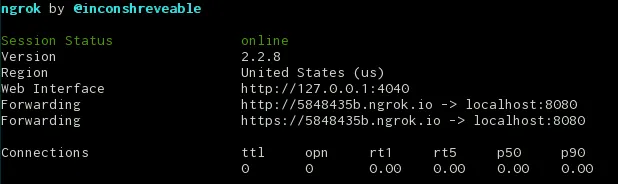 ngrok output
