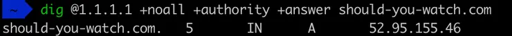 Result of dig command on should-you-watch.com on cloudfare resolver