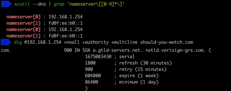 Result of dig command on should-you-watch.com on my resolver