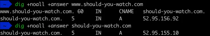 Result of dig command on should-you-watch.com