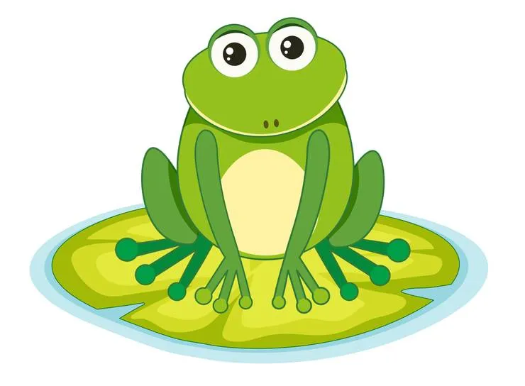 A frog on a lily pad