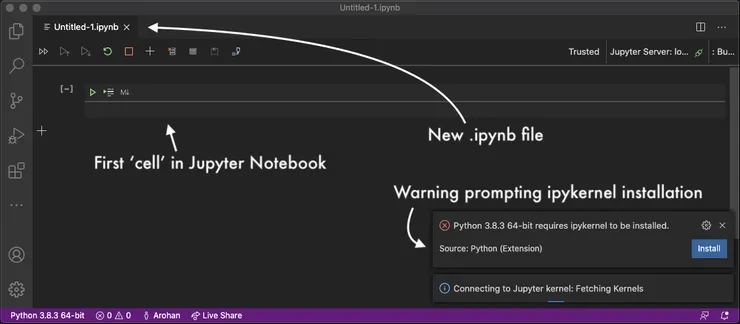 Screenshot of empty .ipynb file open in VSCode