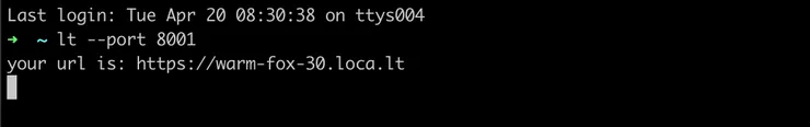 Running localTunnel in command line