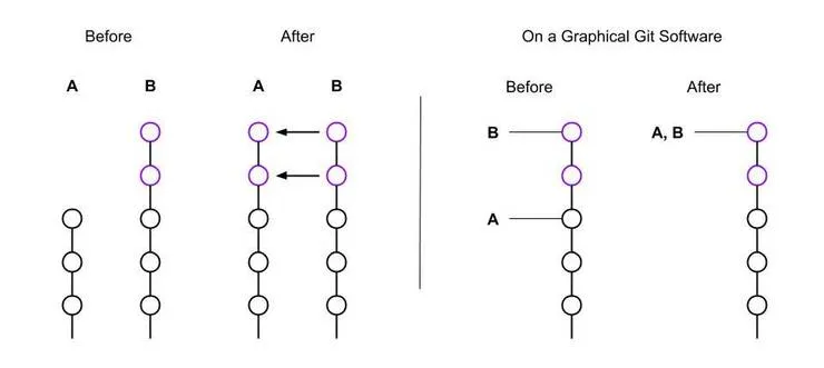 Merge fast-forward (1)