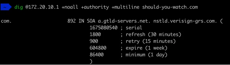 Result of dig command on should-you-watch.com on my resolver